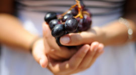 Blessing of Grapes
