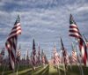 Memorial-Day